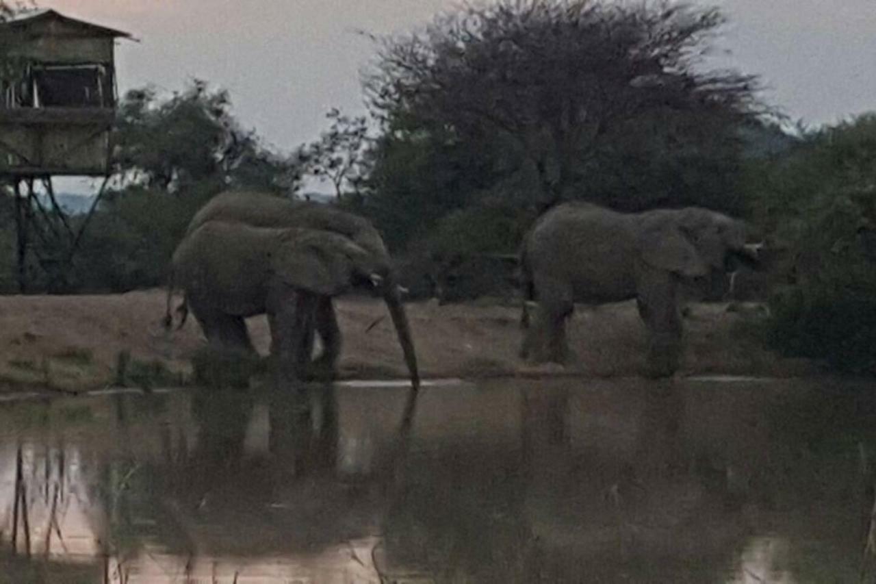 Mabula Game Reserve Kubu Khaya Mabalingweヴィラ エクステリア 写真