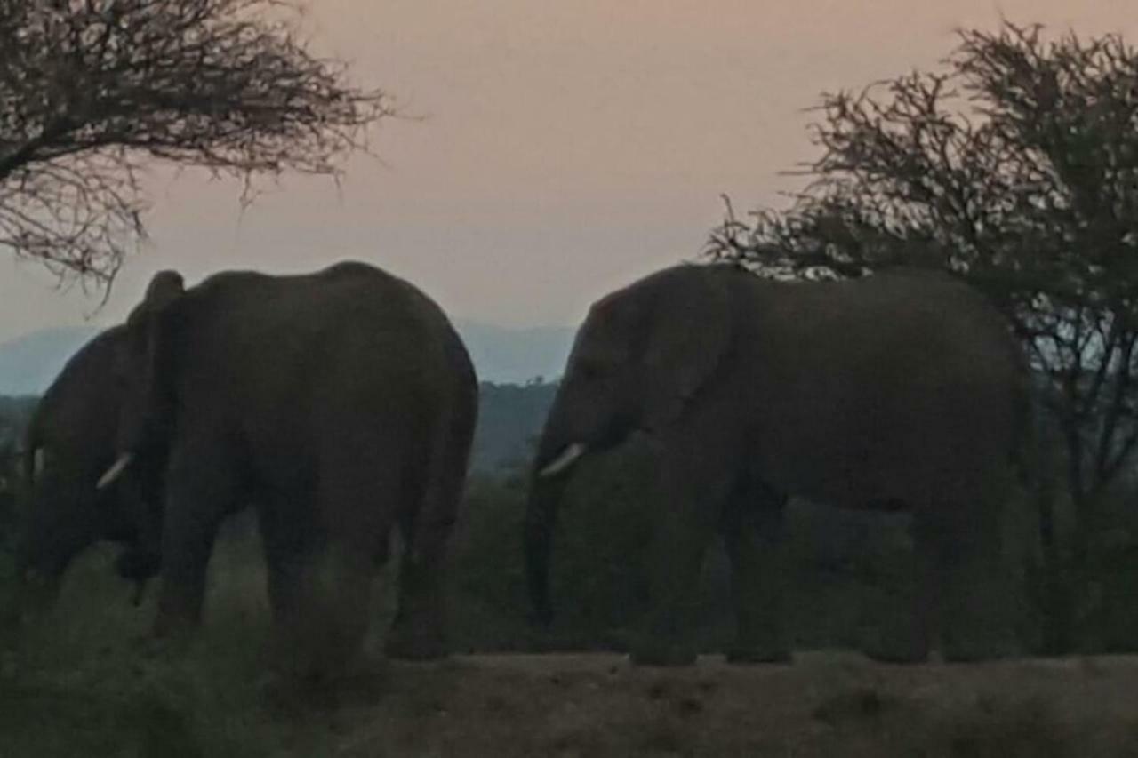 Mabula Game Reserve Kubu Khaya Mabalingweヴィラ エクステリア 写真